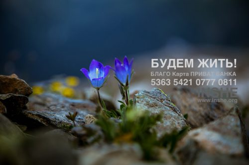 15231