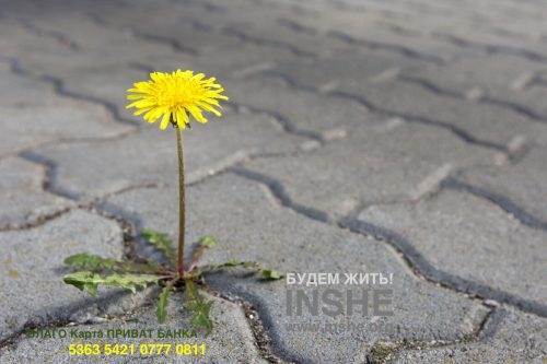 15522