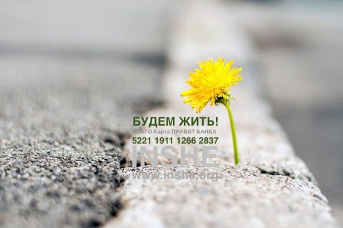 15812