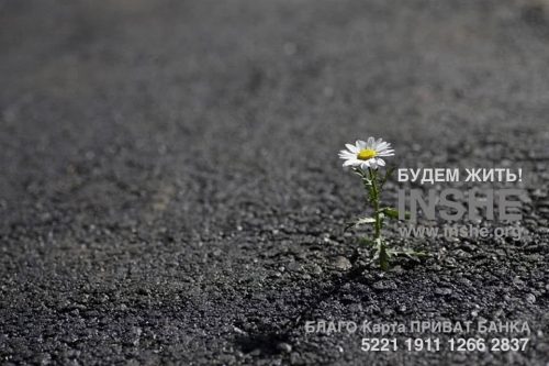 16078