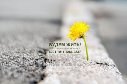 16142